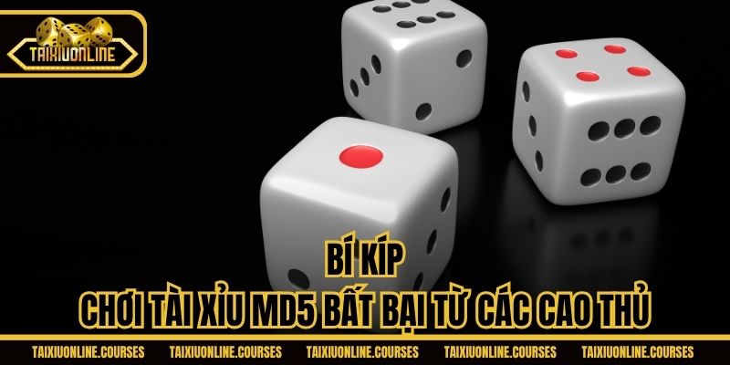 Bí kíp chơi Tài Xỉu MD5 bất bại từ các cao thủ