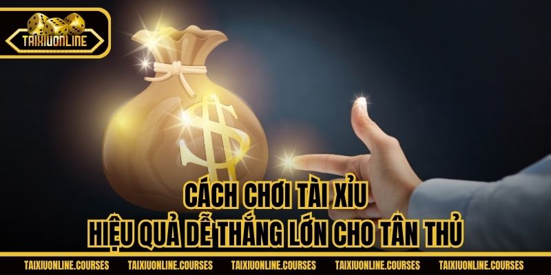 Cách chơi Tài Xỉu hiệu quả dễ thắng lớn cho tân thủ