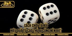 Cách Chơi Tài Xỉu Hiệu Quả Từ Cao Thủ Ai Cũng Nên Biết