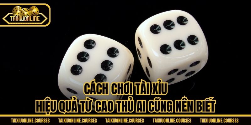 Cách Chơi Tài Xỉu Hiệu Quả Từ Cao Thủ Ai Cũng Nên Biết