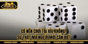 Có Nên Chơi Tài Xỉu Không? Sự Thật Mà Người Mới Cần Biết