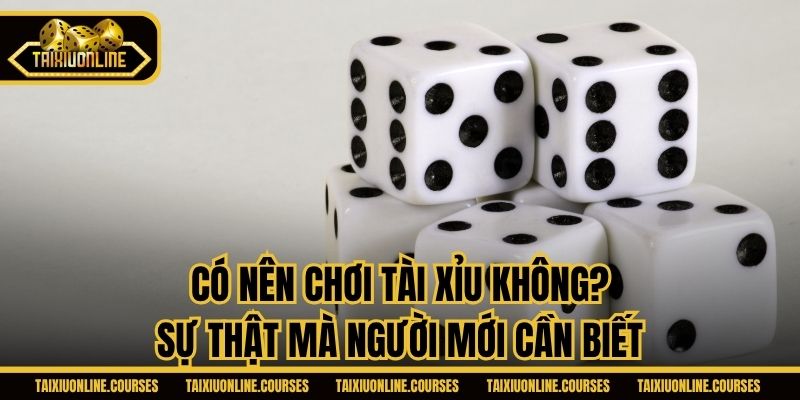 Có Nên Chơi Tài Xỉu Không? Sự Thật Mà Người Mới Cần Biết