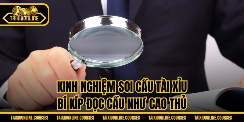 Kinh Nghiệm Soi Cầu Tài Xỉu - Bí Kíp Đọc Cầu Như Cao Thủ