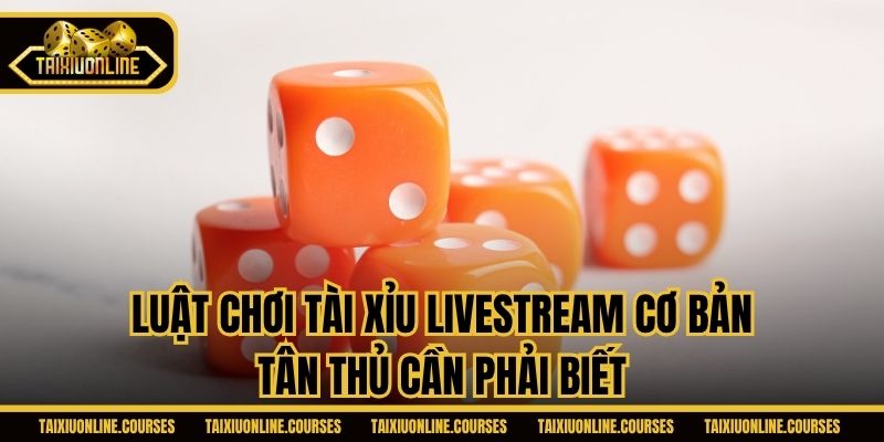 Luật chơi Tài xỉu Livestream cơ bản tân thủ cần phải biết