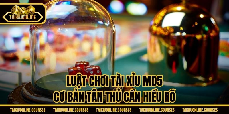 Luật chơi Tài Xỉu MD5 cơ bản tân thủ cần hiểu rõ